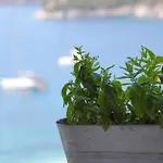 Apartament Welcome In